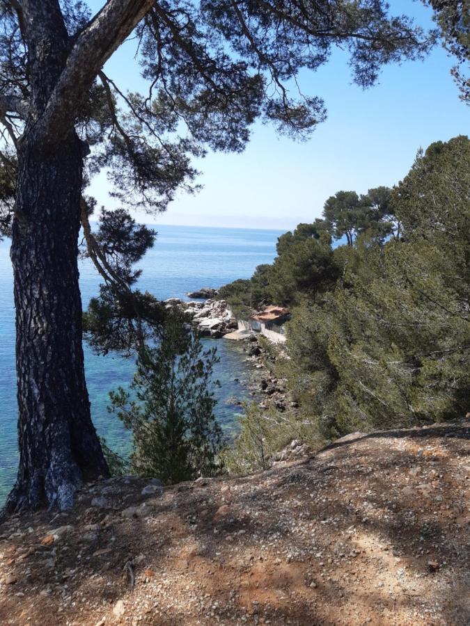 Chez Pierrot Bandol